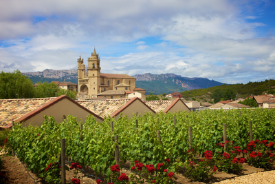 Navigeren door de wereld van Rioja: druiven, terroir en traditie