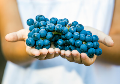 Biodynamische wijnen