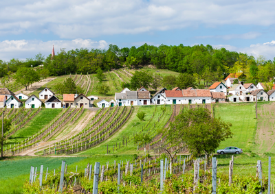 Ontdek de wereld van de Oostenrijkse wijnen