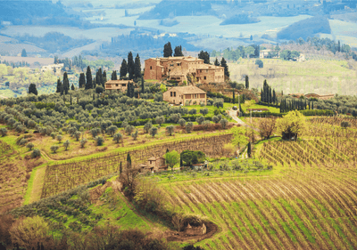 Toscaanse schatten: een verkenning van wijnen, druiven en terroir