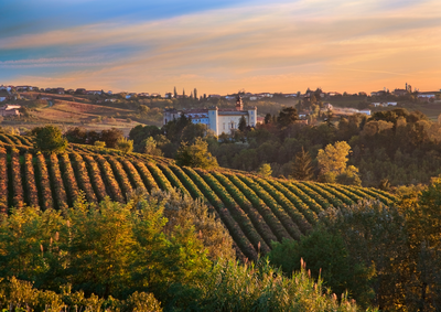 Piemonte: producent van beroemde Italiaanse wijnen