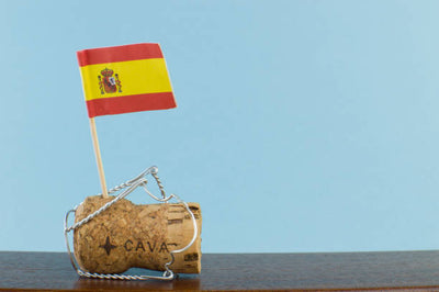 Duurzame wijn productie in Spanje