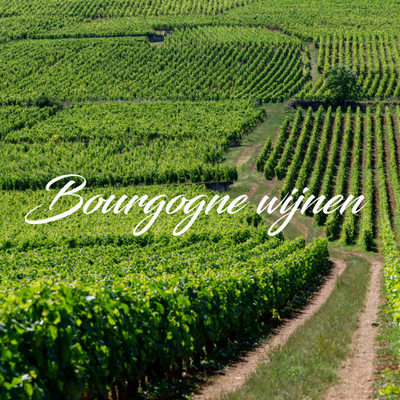 BergoVino | Assortiment Frankrijk, Bourgogne wijnen 