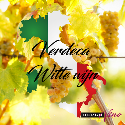 bergovino | assortiment verdeca witte wijn