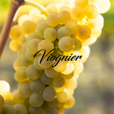 Viognier (witte wijn)